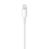 Kép 2/3 - Apple Lightning - USB kábel - 0,5m (ME291ZM/A)